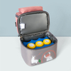 Thermal Organizer Lunch Carry Tote Bag Insulated Transport Breastmilk Lunch Bag for Women Lunch Bag with Shoulder Strap Backpack