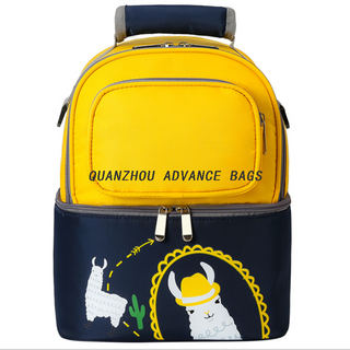 Thermal Organizer Lunch Carry Tote Bag Insulated Transport Breastmilk Lunch Bag for Women Lunch Bag with Shoulder Strap Backpack