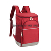 2021 Advance Portable Bag For OEM Accept Customized Logo Cheap Thermal Lunch Insulated Food Cooler Bag Outdoor Cooler Backpack bag