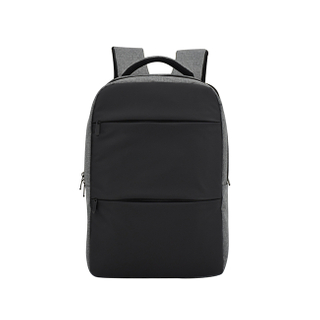 AD-2482 Computer Backpack