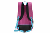 Hot Sale Trekking Daypack Outdoor Sport Lightweight Backpacks Camping Hiking Knapsack Backpack